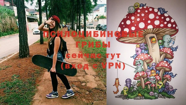 трава Арсеньев