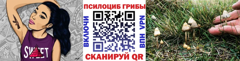 как найти закладки  Скопин  Галлюциногенные грибы Cubensis 